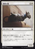 優雅な猫/Graceful Cat 【日本語版】 [AKH-白C]