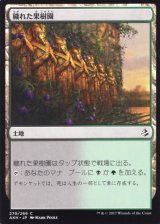 穢れた果樹園/Foul Orchard 【日本語版】 [AKH-土地C]