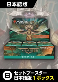 ニューカペナの街角 日本語版 セットブースター 1BOX