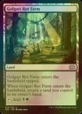 [FOIL] ゴルガリの腐敗農場/Golgari Rot Farm 【英語版】 [2X2-土地U]