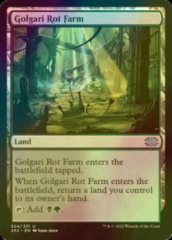 画像1: [FOIL] ゴルガリの腐敗農場/Golgari Rot Farm 【英語版】 [2X2-土地U]