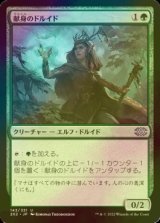 [FOIL] 献身のドルイド/Devoted Druid 【日本語版】 [2X2-緑U]