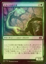 [FOIL] エルフの再生者/Elvish Rejuvenator 【日本語版】 [2X2-緑C]