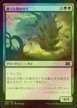 [FOIL] 節くれ背のサイ/Gnarlback Rhino 【日本語版】 [2X2-緑C]