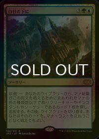 [FOIL] 白日の下に/Bring to Light 【日本語版】 [2X2-金R]