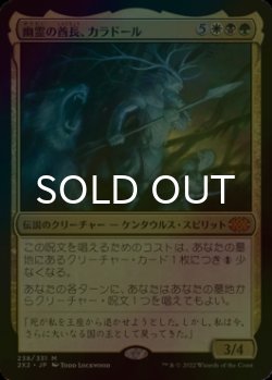 画像1: [FOIL] 幽霊の酋長、カラドール/Karador, Ghost Chieftain (海外産ブースター版) 【日本語版】 [2X2-金MR]