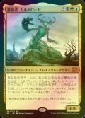 [FOIL] 墓場波、ムルドローサ/Muldrotha, the Gravetide (海外産ブースター版) 【日本語版】 [2X2-金MR]