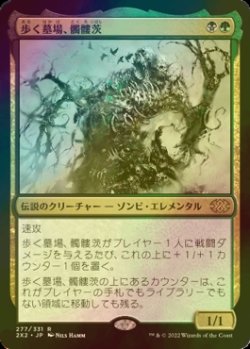 画像1: [FOIL] 歩く墓場、髑髏茨/Skullbriar, the Walking Grave 【日本語版】 [2X2-金R]