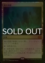 [FOIL] 魂の洞窟/Cavern of Souls (海外産ブースター版) 【日本語版】 [2X2-土地MR]