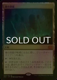 [FOIL] 魂の洞窟/Cavern of Souls (海外産ブースター版) 【日本語版】 [2X2-土地MR]