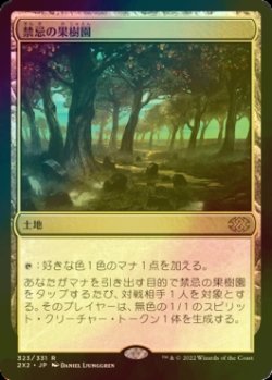 画像1: [FOIL] 禁忌の果樹園/Forbidden Orchard 【日本語版】 [2X2-土地R]
