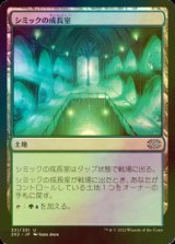 [FOIL] シミックの成長室/Simic Growth Chamber 【日本語版】 [2X2-土地U]