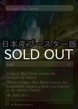 [FOIL] ゴルガリの腐敗農場/Golgari Rot Farm ● (全面アート・日本産ブースター版) 【英語版】 [2X2-土地U]