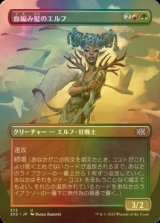 [FOIL] 血編み髪のエルフ/Bloodbraid Elf (全面アート・海外産ブースター版) 【日本語版】 [2X2-金U]