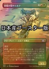 [FOIL] 血編み髪のエルフ/Bloodbraid Elf ● (全面アート・日本産ブースター版) 【日本語版】 [2X2-金U]