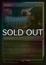 [FOIL] 特権階級/Privileged Position (エッチング仕様) 【日本語版】 [2X2-金R]