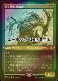 [FOIL] 歩く墓場、髑髏茨/Skullbriar, the Walking Grave (エッチング仕様) 【日本語版】 [2X2-金R]