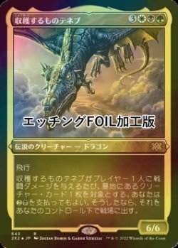 画像1: [FOIL] 収穫するものテネブ/Teneb, the Harvester (エッチング仕様) 【日本語版】 [2X2-金R]