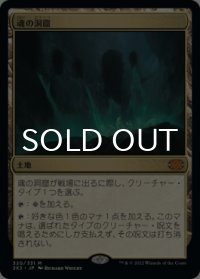魂の洞窟/Cavern of Souls 【日本語版】 [2X2-土地MR]