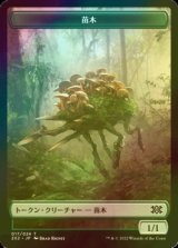 [FOIL] 苗木/SAPROLING 【日本語版】 [2X2-トークン]