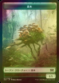 画像1: [FOIL] 苗木/SAPROLING 【日本語版】 [2X2-トークン]