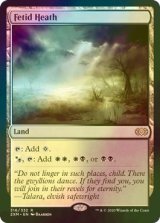 悪臭の荒野/Fetid Heath (2XM/土地R/英/foil/NM) ※詳細要確認