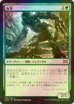 画像1: [FOIL] 血茨/Bloodbriar 【日本語版】 [2XM-緑C]