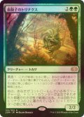 [FOIL] 血胞子のトリナクス/Bloodspore Thrinax 【日本語版】 [2XM-緑R]