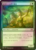 [FOIL] 議事会の自然主義者/Conclave Naturalists 【日本語版】 [2XM-緑C]