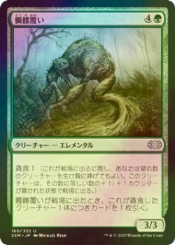 画像1: [FOIL] 髑髏覆い/Skullmulcher 【日本語版】 [2XM-緑U]