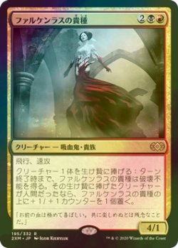 画像1: [FOIL] ファルケンラスの貴種/Falkenrath Aristocrat 【日本語版】 [2XM-金R]