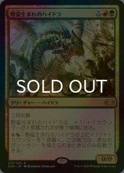 画像1: [FOIL] 野蛮生まれのハイドラ/Savageborn Hydra 【日本語版】 [2XM-金R]