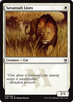 画像1: サバンナ・ライオン/Savannah Lions 【英語版】 [A25-白C]