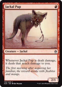 画像1: ジャッカルの仔/Jackal Pup 【英語版】 [A25-赤C]