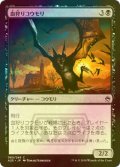 [FOIL] 血狩りコウモリ/Bloodhunter Bat 【日本語版】 [A25-黒C]