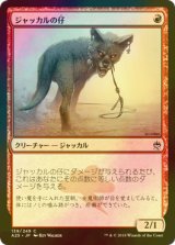 [FOIL] ジャッカルの仔/Jackal Pup 【日本語版】 [A25-赤C]