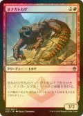 [FOIL] オナガトカゲ/Thresher Lizard 【日本語版】 [A25-赤C]