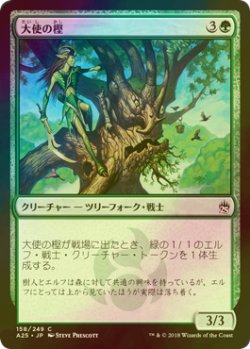 画像1: [FOIL] 大使の樫/Ambassador Oak 【日本語版】 [A25-緑C]