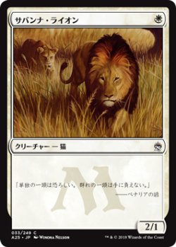 画像1: サバンナ・ライオン/Savannah Lions 【日本語版】 [A25-白C]