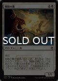 戦隊の鷹/Squadron Hawk 【日本語版】 [A25-白C]
