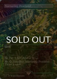 [FOIL] 育成泥炭地/Nurturing Peatland (全面アート版) 【英語版】 [ACR-土地R]