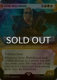 [FOIL] 狼に祝福されし者、エイヴォル/Eivor, Wolf-Kissed (ショーケース版・テクスチャー・フォイル仕様) 【英語版】 [ACR-金MR]