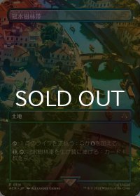 [FOIL] 冠水樹林帯/Waterlogged Grove (全面アート版) 【日本語版】 [ACR-土地R]