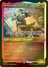 [FOIL] シワのバエク/Bayek of Siwa (エッチング仕様) 【日本語版】 [ACR-金R]