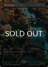 冠水樹林帯/Waterlogged Grove (全面アート版) 【日本語版】 [ACR-土地R]