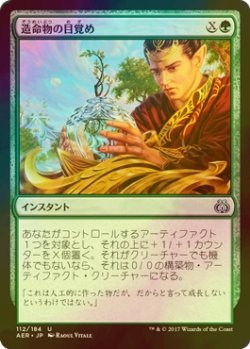 画像1: [FOIL] 造命物の目覚め/Lifecraft Awakening 【日本語版】 [AER-緑U]