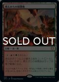 燃えがらの林間地/Cinder Glade 【日本語版】 [AFC-土地R]