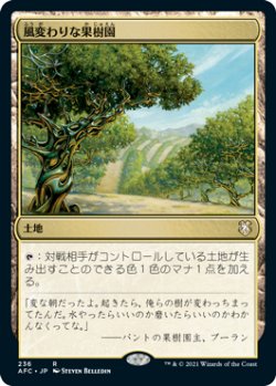 画像1: 風変わりな果樹園/Exotic Orchard 【日本語版】 [AFC-土地R]