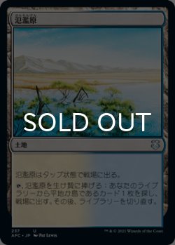 画像1: 氾濫原/Flood Plain 【日本語版】 [AFC-土地U]