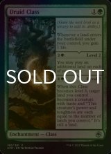 [FOIL] ドルイド・クラス/Druid Class 【英語版】 [AFR-緑U]